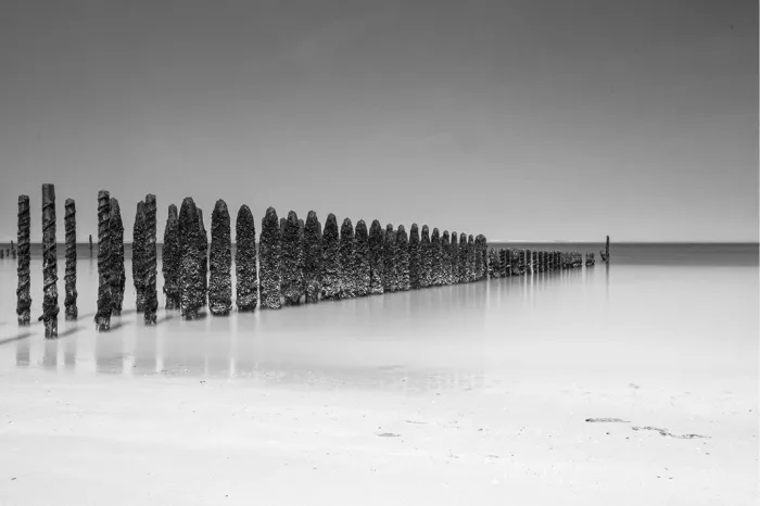 Lange rij met schelpen begroeide houten palen loopt op het strand van Wissant in perspectief de zee in, met zachte spiegelingen op het natte zand.