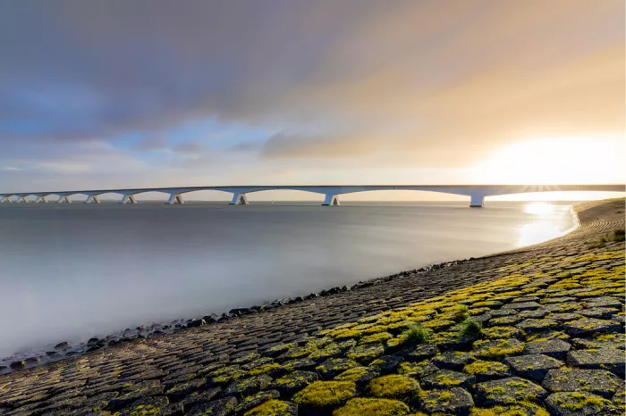 Zeelandbrug ligt aan de horizon in warm tegenlicht, met een met mos begroeide basaltdijk die in een boog naar het water loopt.