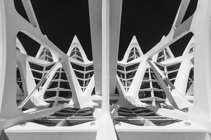 Witte ribben en driehoekige vensters in de Ciutat de les Arts i les Ciències in Valencia vormen een spiegelsymmetrisch patroon tegen een zwarte lucht.
