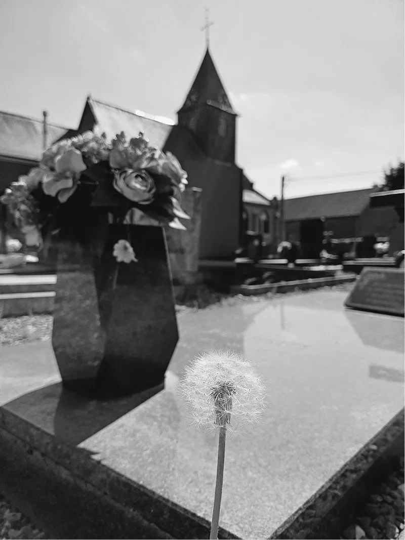Pluizenbol van een paardenbloem bij een graf met bloemen en een kerktoren op de achtergrond