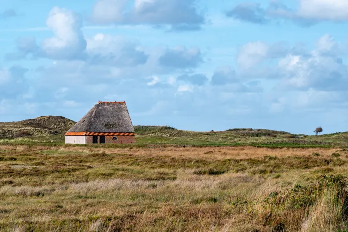Halve schuur met rieten dak in de duinen onder een blauwe lucht met witte wolken