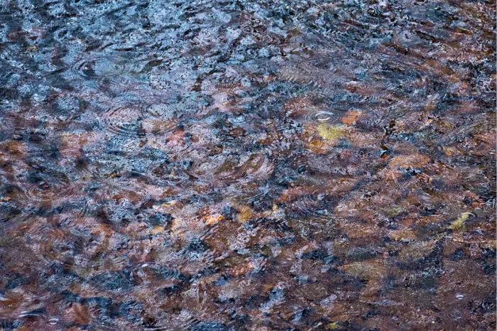 Herfstblaadjes onder rimpelend water in bruine en blauwgrijze tinten