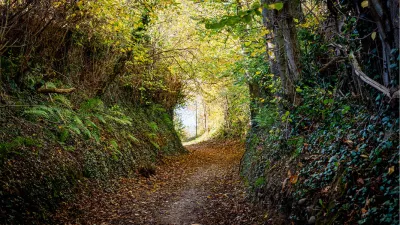 Herfsttunnel, de foto