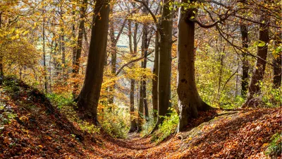 Gouden gewelf, de foto