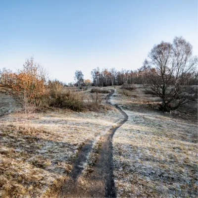Slingerpad over de bevroren heide, de foto