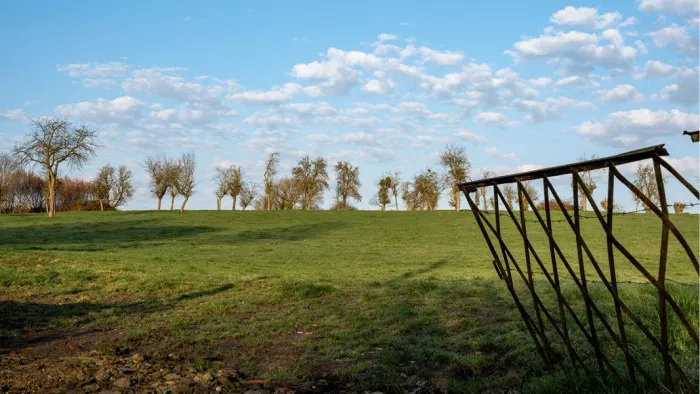 Een roestige ijzeren weidepoort staat deels open en biedt uitzicht op een groen grasland met een rij bomen onder een licht bewolkte hemel.