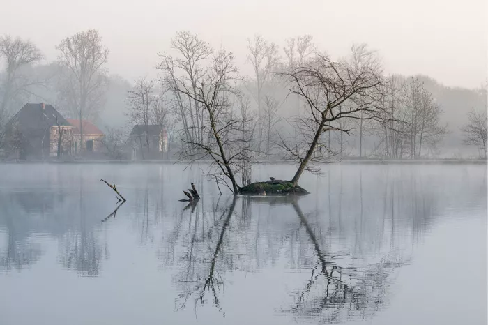 Een kalm en sfeervol beeld van een klein eilandje met twee bomen in een meer. De mist en de perfecte weerspiegeling in het water zorgen voor een serene sfeer.