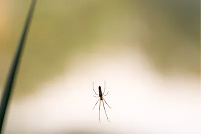 Minimalistische spin zwevend in de leegte, de foto