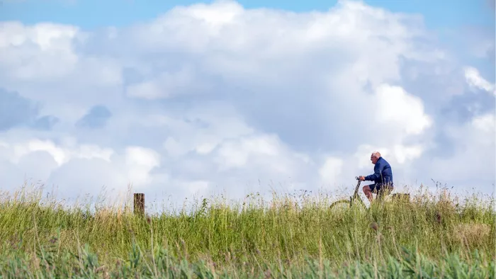 Een breed, zomers landschapsbeeld van een eenzame fietser die over een dijk rijdt, verscholen achter hoog, wild gras en wuivend riet.