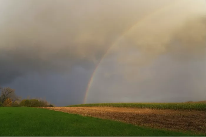 Regenboog onder zware wolken boven een akker, een groene weide en een maïsveld