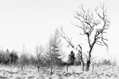 Winterse venen, de foto
