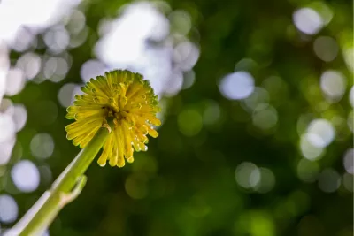 Kijk omhoog!, de foto