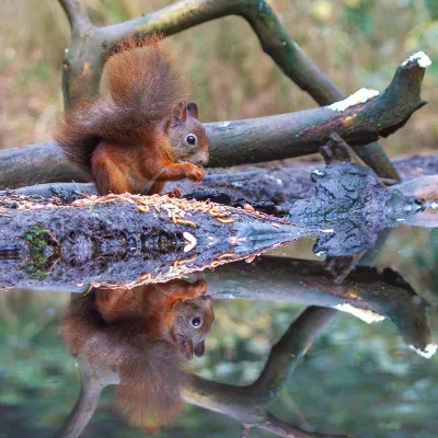 Dubbel genieten, de foto