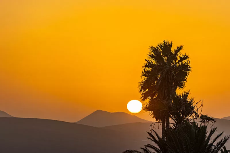 Silhouet van een palmboom bij een oranje zonsondergang met heuvels en bergen op de achtergrond