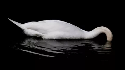 Kopje onder (16:9), de foto