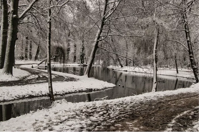 Vijver tussen besneeuwde oevers en kale bomen in een winters park