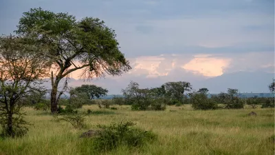 Oeganda landschap, de foto