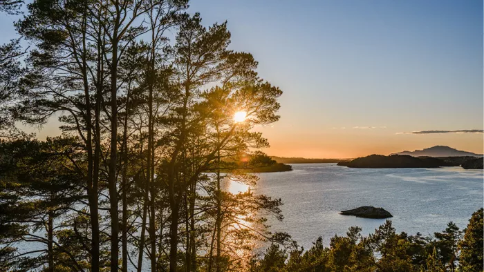 Zon schijnt door hoge dennen boven een fjord met eilandjes bij zonsondergang