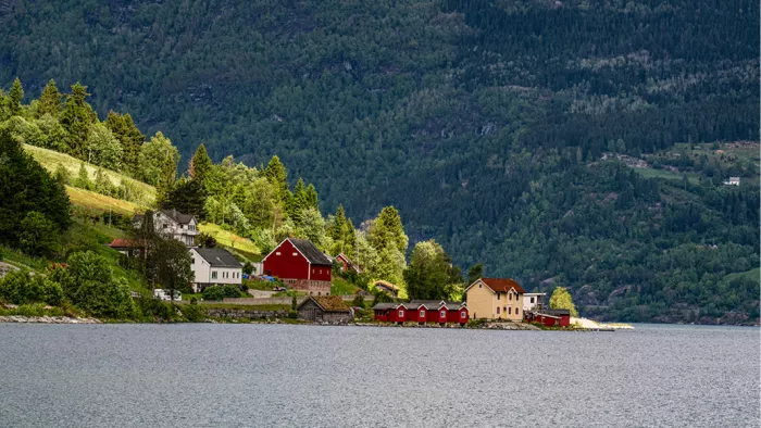 Rode en gele huizen aan de oever van een fjord onder een beboste berghelling