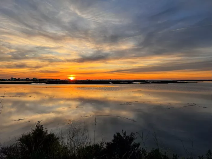 Ondergaande zon en wolken spiegelen in stil water met struiken als silhouet