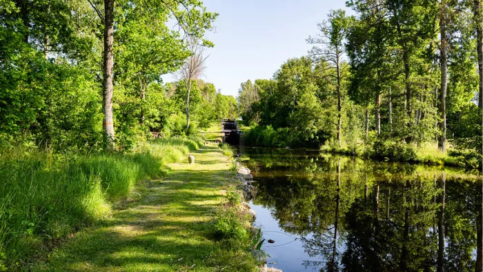 Graspad langs een kanaal met loofbomen die in het water spiegelen