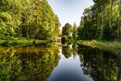 Bomen en reflecties in het kanaal 2, de foto