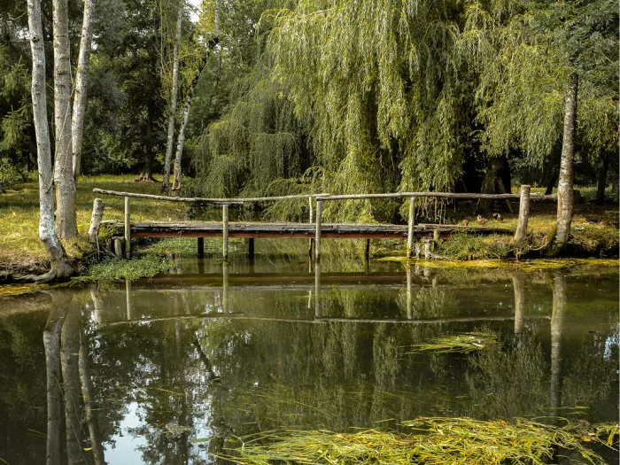 Oud houten bruggetje over een vijver met treurwilgen en reflecties