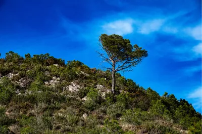 Door berg en dal, de foto