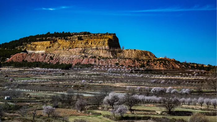 La Yesa (Spanje) ligt in een prachtig gebied. Hier hebben we uitzich op een berg met in het landschap veel amandelbomen die in bloei staan