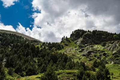 Wolken boven de dennenhelling, de foto