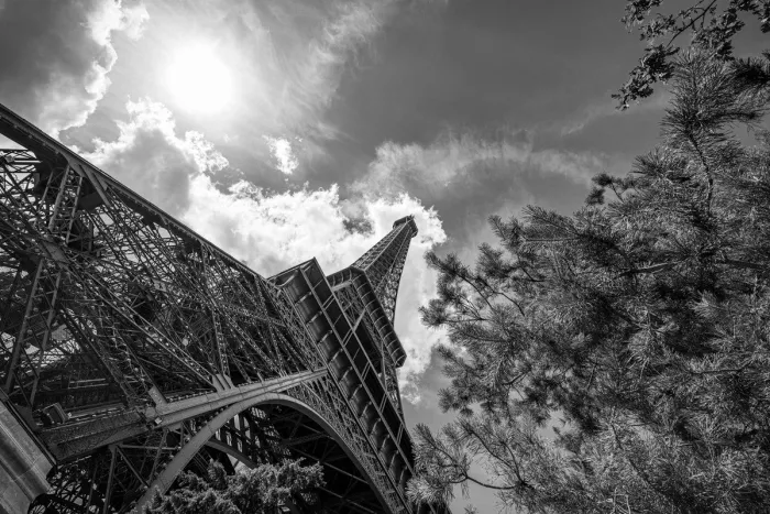 Schuin opgenomen stalen constructie van de Eiffeltoren naast de takken van een den, met een felle zon in een wolkenlucht, in zwart-wit.