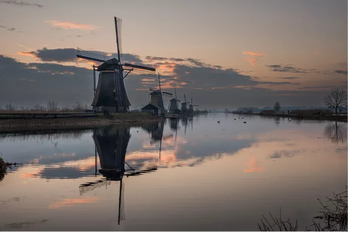 Rij molens bij zonsopgang, gespiegeld in kalm water onder een roze lucht