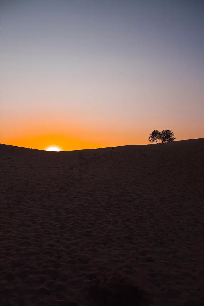 Een beeld genomen tijdens een eerste zomeravond in een wijds duinenlandschap. De zon gaat langzaam onder achter een duin en werpt haar schaduw over de vlakte. Het silhouet van een kleine boom wordt zichtbaar. Samen met het vallen van de avond daalt de rust neer over de omgeving.
