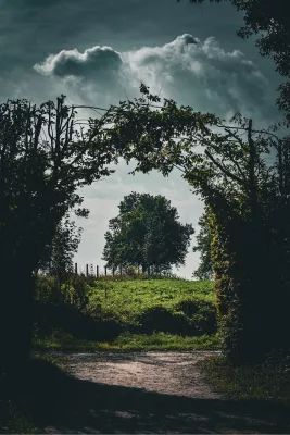 Boom langs een oude weg, de foto