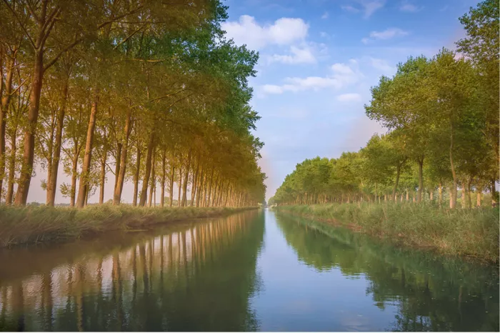 De Damse Vaart is een uitgestrekt kanaal in het noorden van de Belgische provincie West-Vlaanderen. Ze is ongeveer 15 km lang en verbindt de provinciehoofdstad Brugge met het Nederlandse grensstadje Sluis. Onder een zomerzon kleuren de bomen mooi groen.
