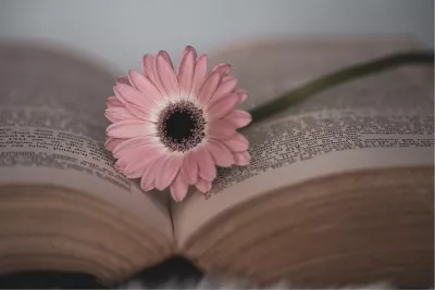 Bloem tussen de bladzijden, de foto