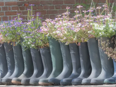 Zomerse symfonie, de foto