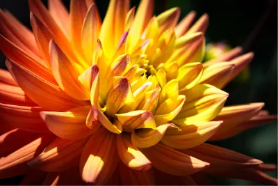 Zon in close-up, de foto