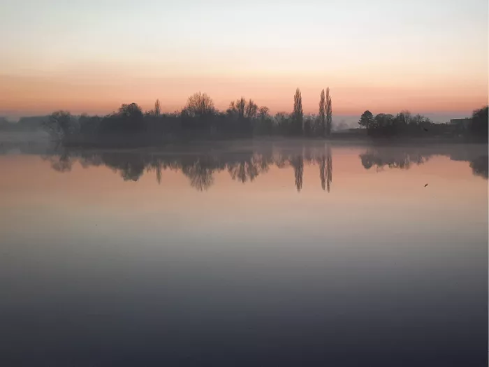 Stil meer bij zonsondergang met donkere bomen die in het water spiegelen onder een roze lucht