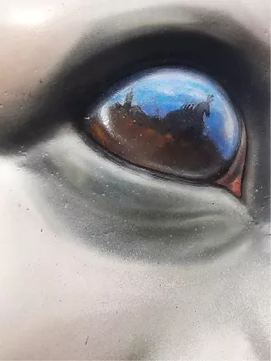 Oog in oog, de foto
