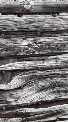 Uit goed hout gesneden, de foto
