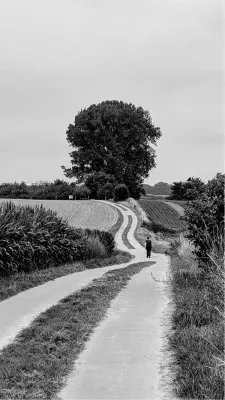 De lange wandeling, de foto