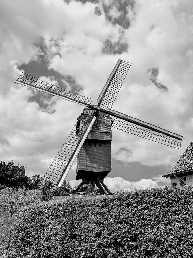 Houten standerdmolen achter een dichte haag onder een wolkenlucht, in zwart-wit