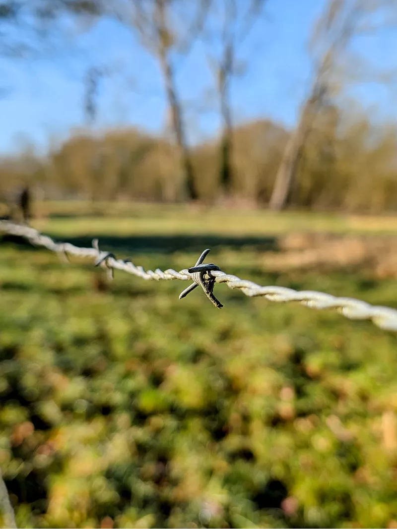 Prikkeldraad met een scherpe knoop boven een weide, met onscherpe bomen en blauwe lucht