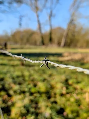 Prikkelbare draadsyndroom, de foto