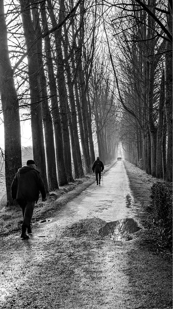 Twee wandelaars op een natte dreef tussen rijen hoge kale bomen, in zwart-wit