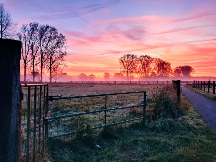 Roze ochtendlucht boven een berijpte weide met mist, bomen en een metalen hek
