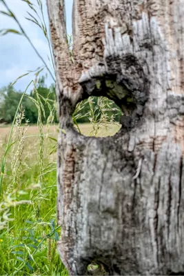 Kijk door de paal, de foto