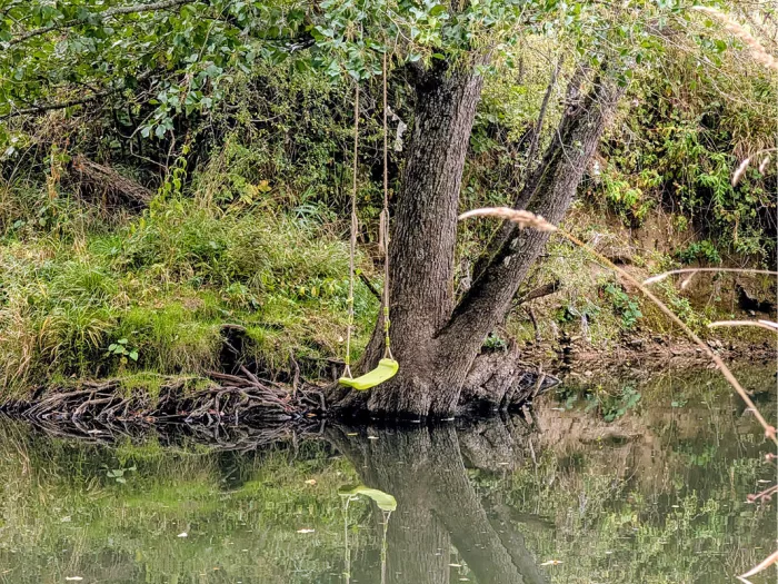 Gele schommel aan touwen boven een rivier, naast een boom die in het water spiegelt