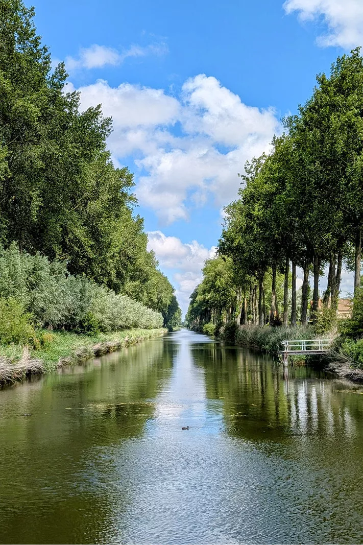 Damse Vaart tussen rijen hoge bomen, met wolken die in het water spiegelen